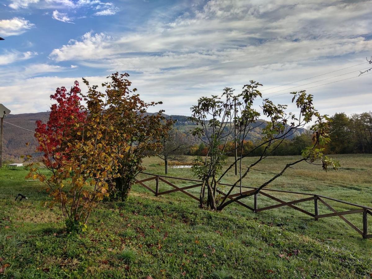 "Borgo Gerbina" Agriturismo & Azienda Agricola Sozzi Dış mekan fotoğraf