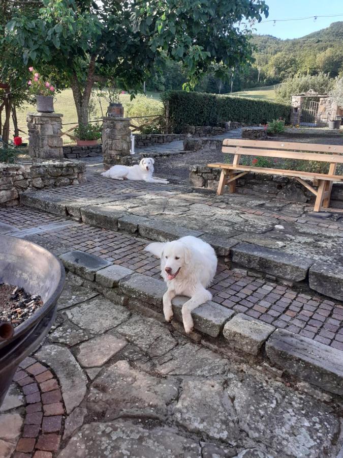"Borgo Gerbina" Agriturismo & Azienda Agricola Sozzi Dış mekan fotoğraf